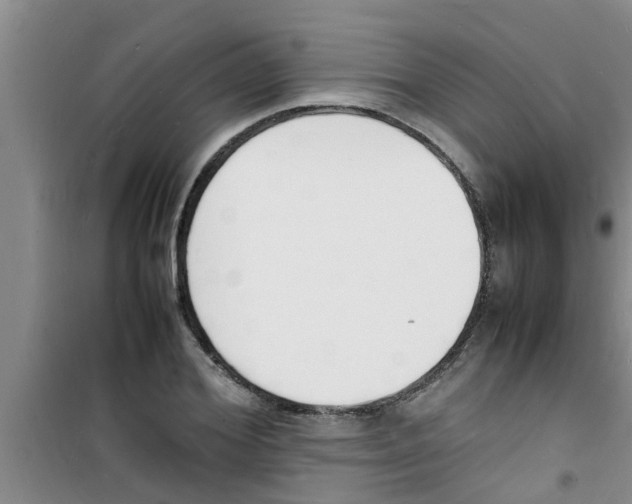 X0000100980980200807221229