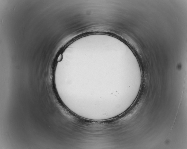 X0000100980981200807221229