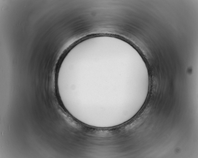 X0000100980982200807221229