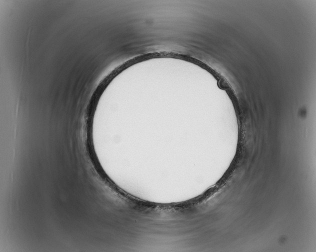 X0000100980983200807221229