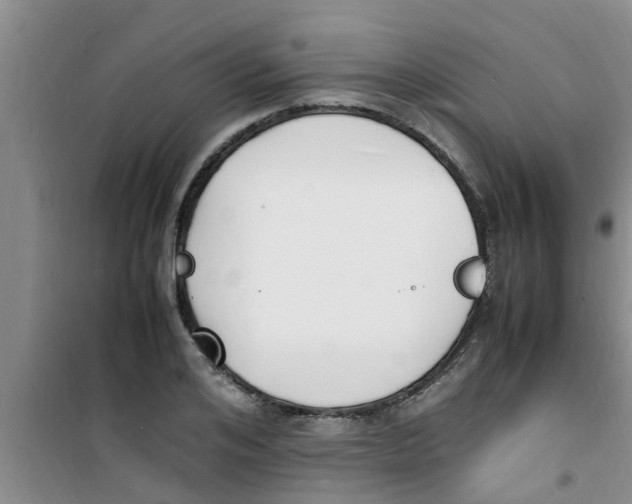 X0000100980984200807221229