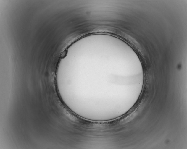 X0000100980985200807221229