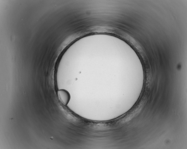 X0000100980986200807221229