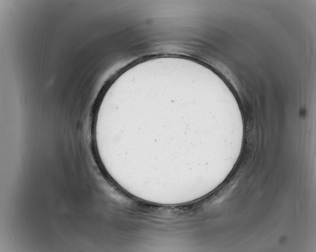 X0000100980987200807221229