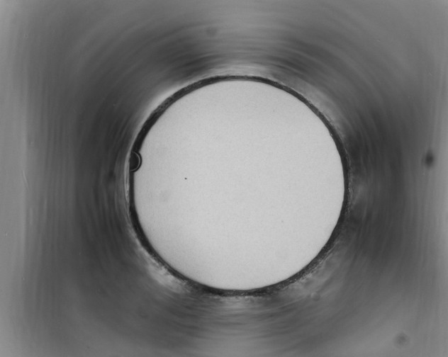 X0000100980988200807221229