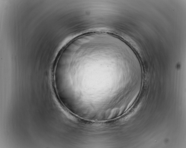 X0000100980989200807221229