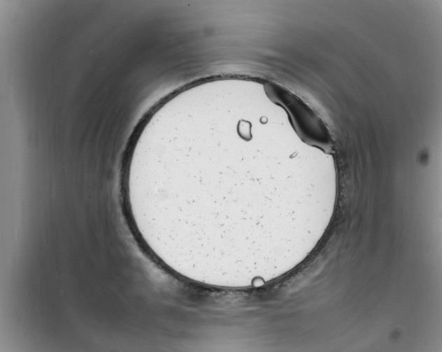 X0000100980991200807221229