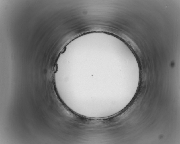 X0000100980993200807221229