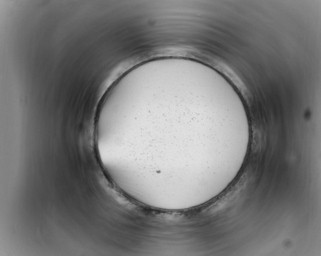 X0000100980994200807221229