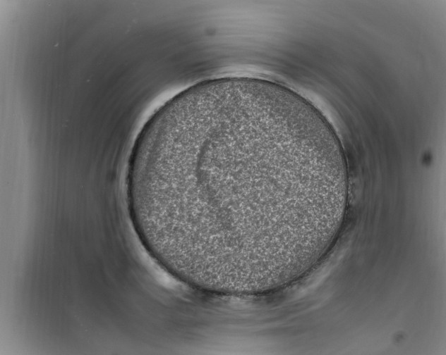 X0000100980995200807221229