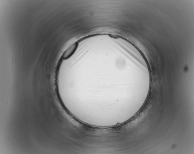 X0000100980997200807221229