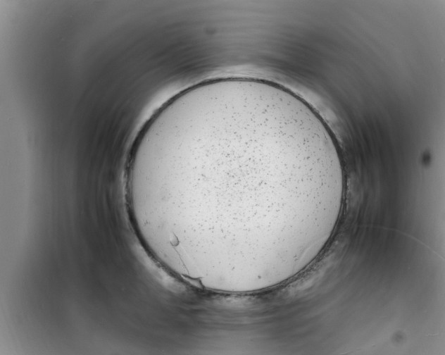 X0000100980998200807221229