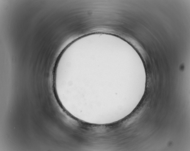 X0000100980999200807221229