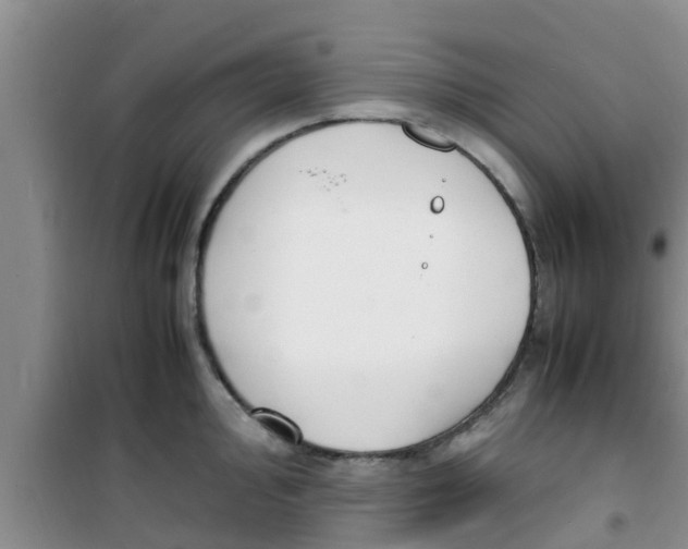 X0000100981000200807221229