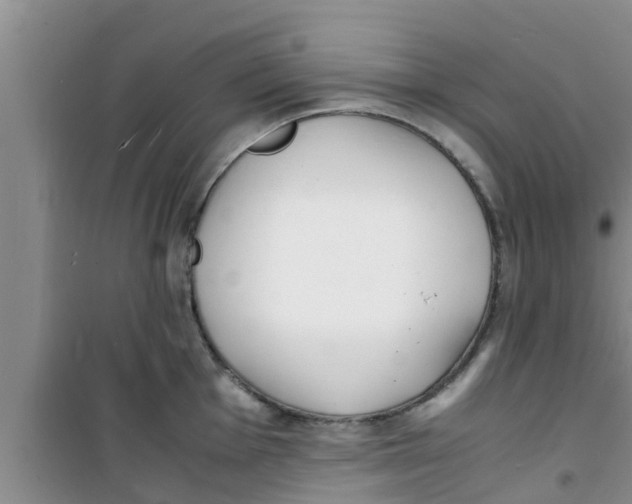 X0000100981001200807221229