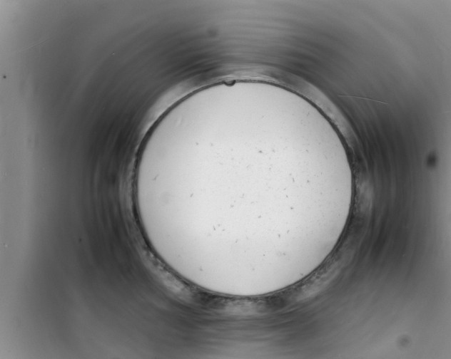 X0000100981002200807221229