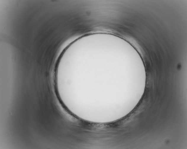 X0000100981003200807221229