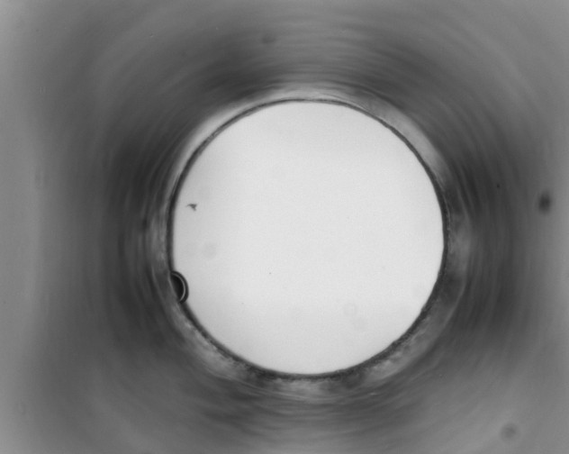 X0000100981004200807221229