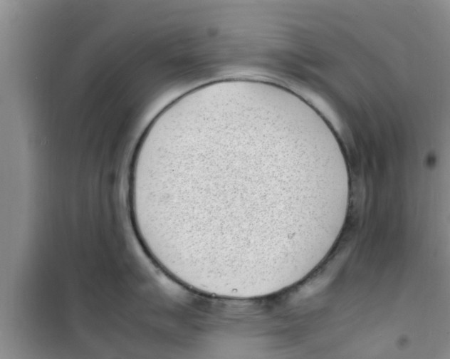 X0000100981007200807221229