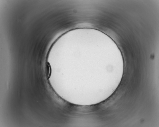 X0000100981008200807221229