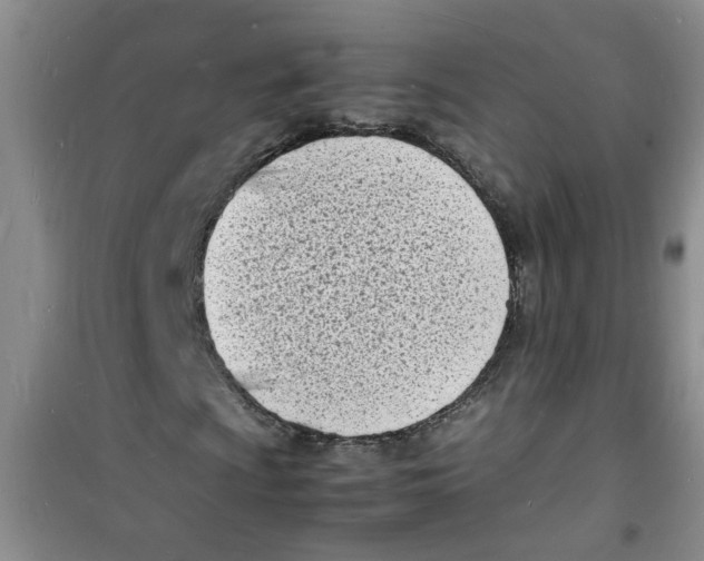 X0000100981009200807221228