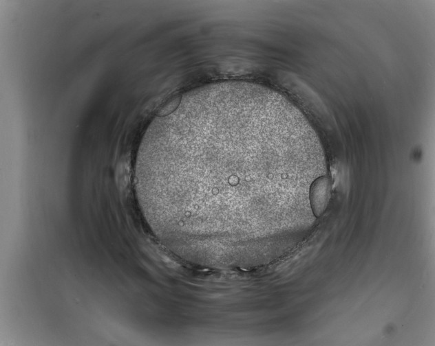 X0000100981011200807221228