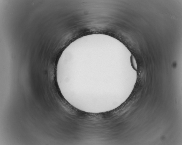 X0000100981012200807221228