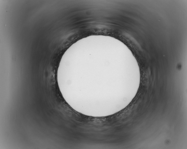 X0000100981013200807221228