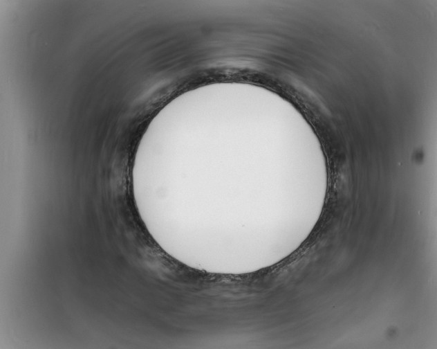 X0000100981014200807221228