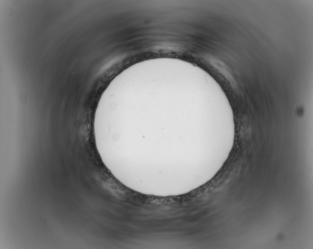 X0000100981015200807221228