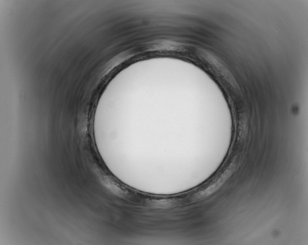 X0000100981017200807221228