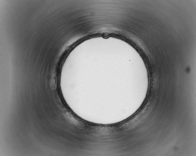 X0000100981018200807221228