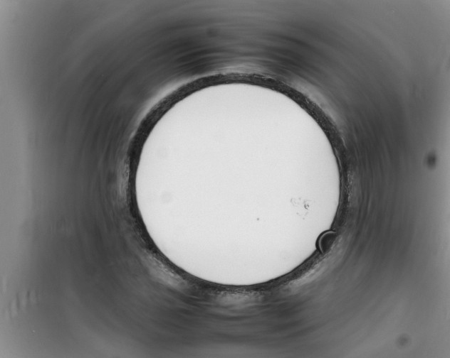 X0000100981021200807221228