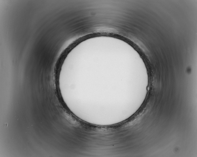 X0000100981022200807221228