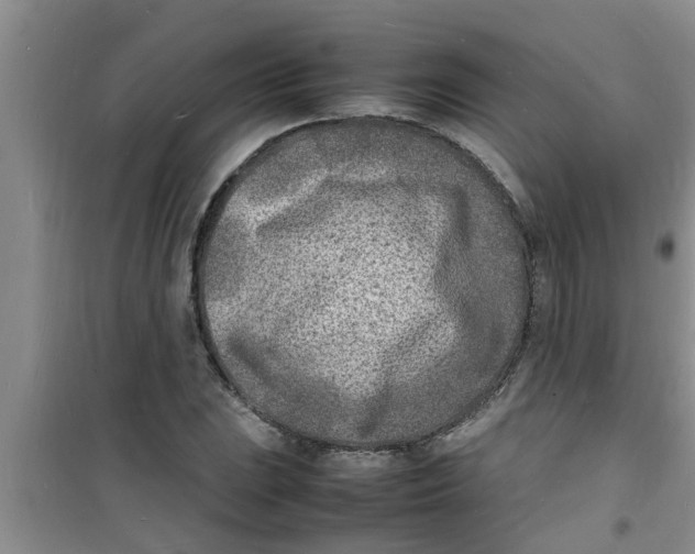 X0000100981023200807221228