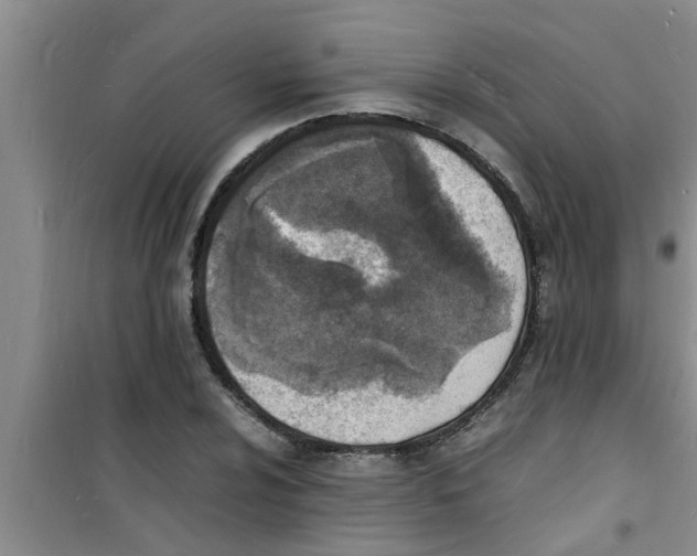 X0000100981024200807221228