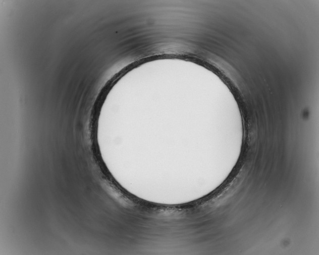 X0000100981026200807221228