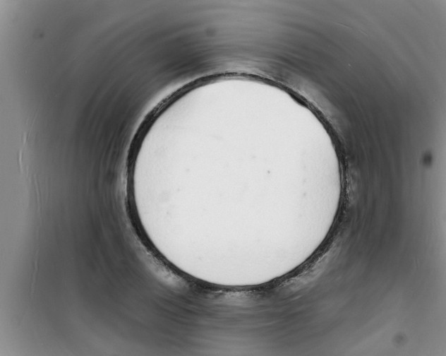 X0000100981028200807221228