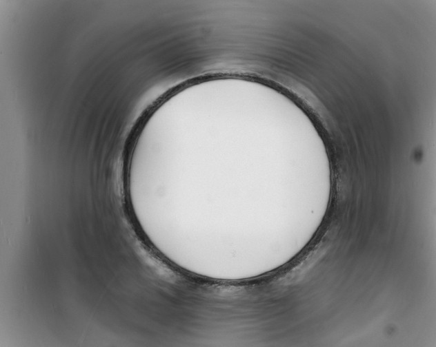 X0000100981030200807221228