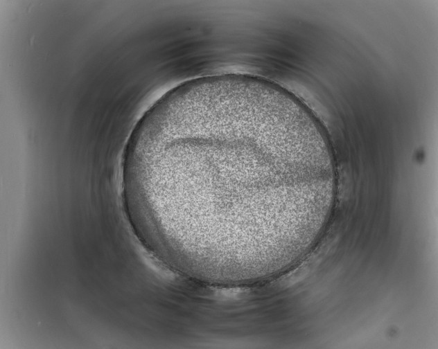 X0000100981031200807221228