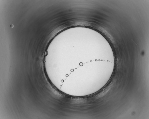 X0000100981033200807221228