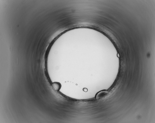 X0000100981034200807221228