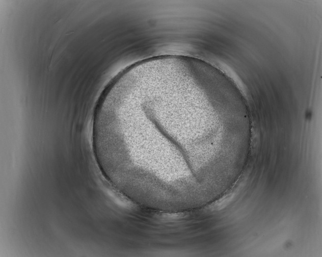 X0000100981035200807221228