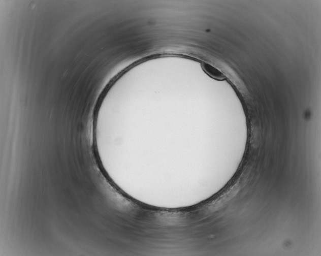 X0000100981036200807221228