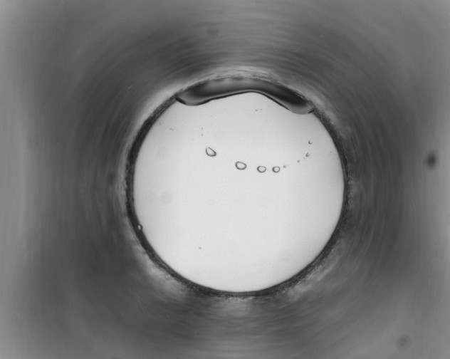 X0000100981038200807221228