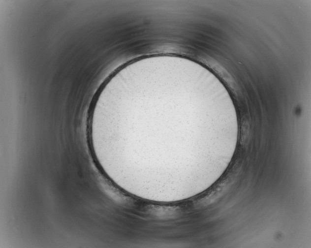 X0000100981039200807221228