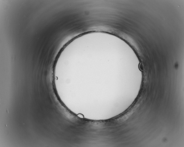 X0000100981040200807221228