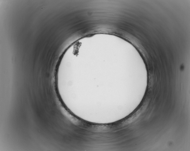 X0000100981042200807221229