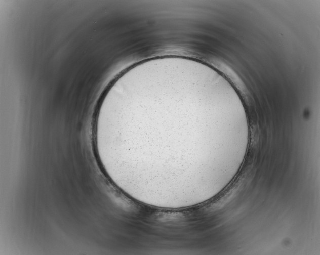 X0000100981043200807221229