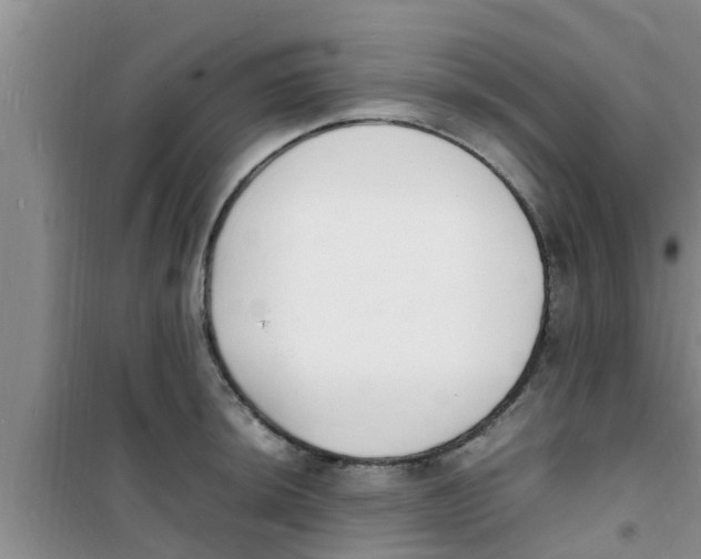 X0000100981044200807221229